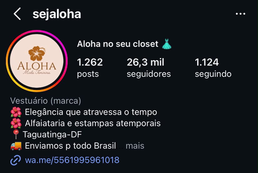 Perfil no Instagram do cliente 2
